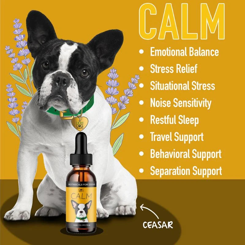 CALM: Travel, Noise & Stress Support