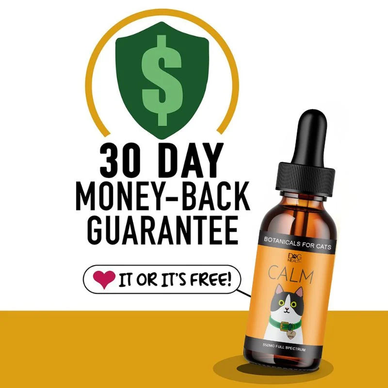 CALM: Travel, Noise & Stress Support for Cats