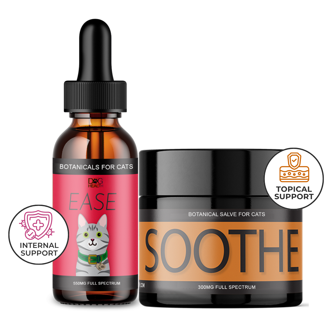 Cat Seasonal Support Duo