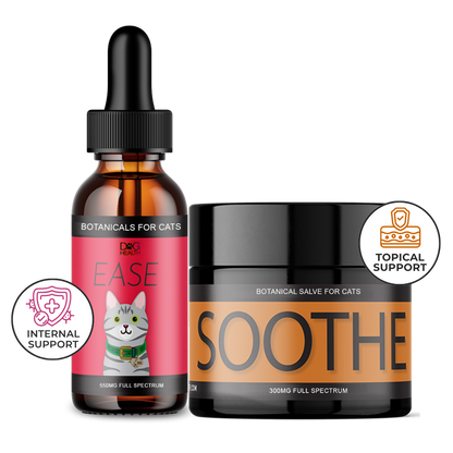 Cat Seasonal Support Duo