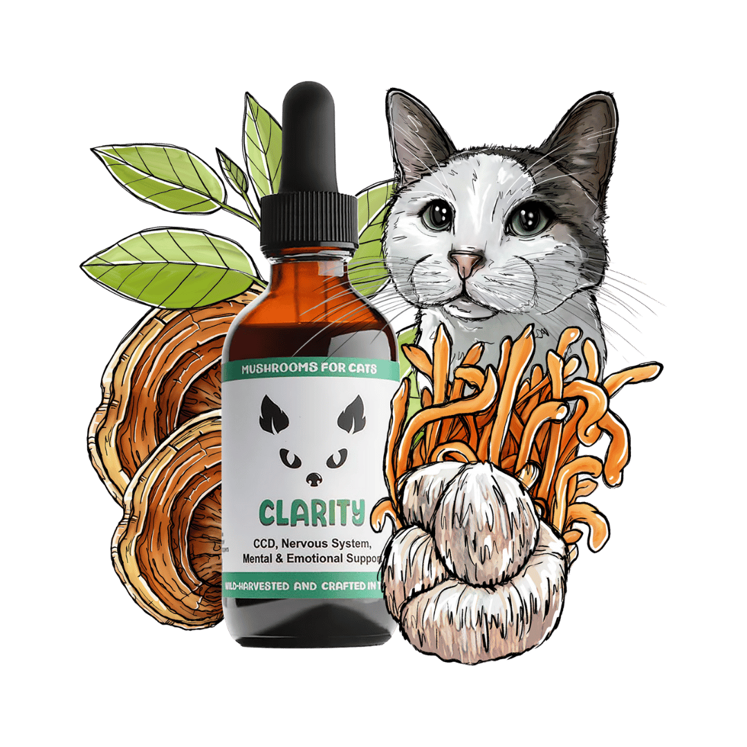 Clarity cat pet mushroom tincture by MycoCat for CCD, nervous system, mental and emotional support, featuring Cordyceps, Reishi, Lion's Mane, and Ashwagandha.