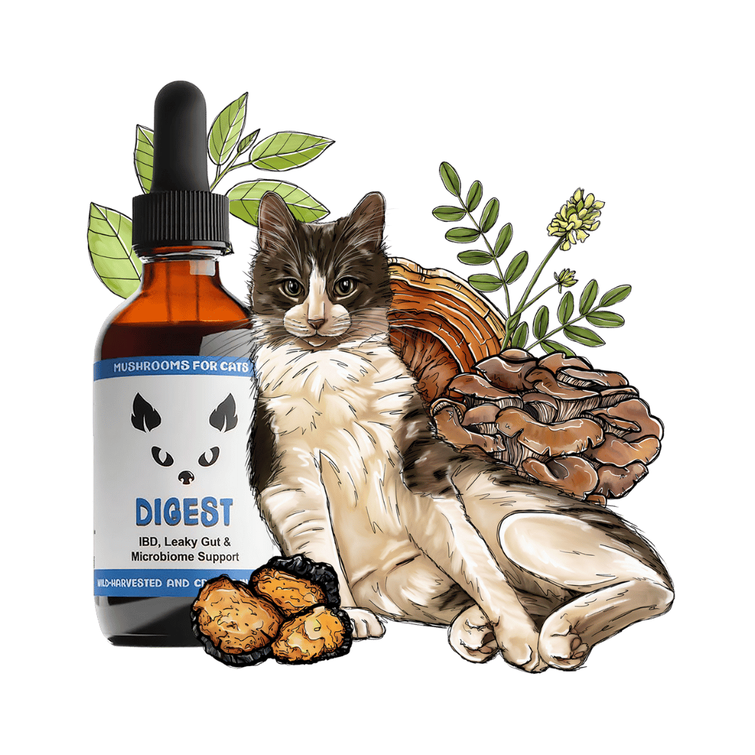 Digest cat pet mushroom tincture by MycoCat for digestive health, combining beneficial mushrooms like Shiitake and Maitake.