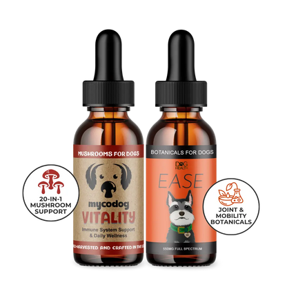 Dog Mobility Bundle