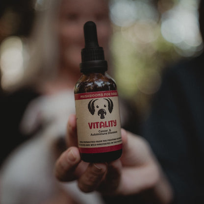 MycoDog Vitality