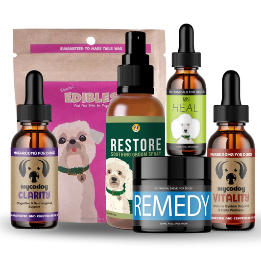Senior Dog Wellness Bundle