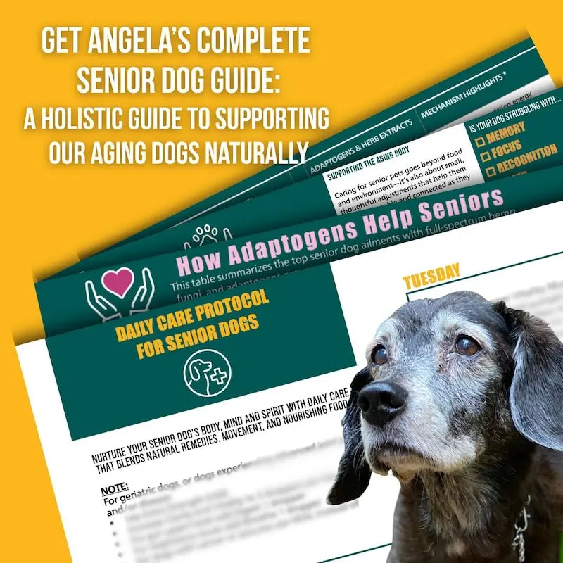 Senior Dog Wellness Bundle