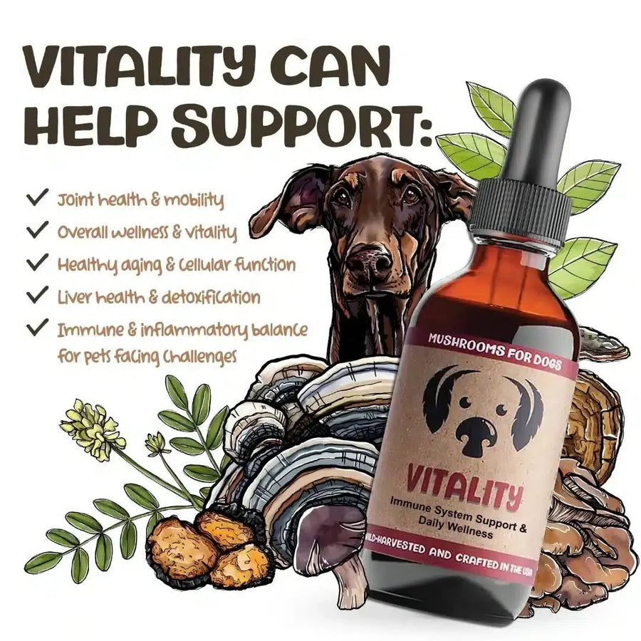 Advanced Immune & Cellular Support