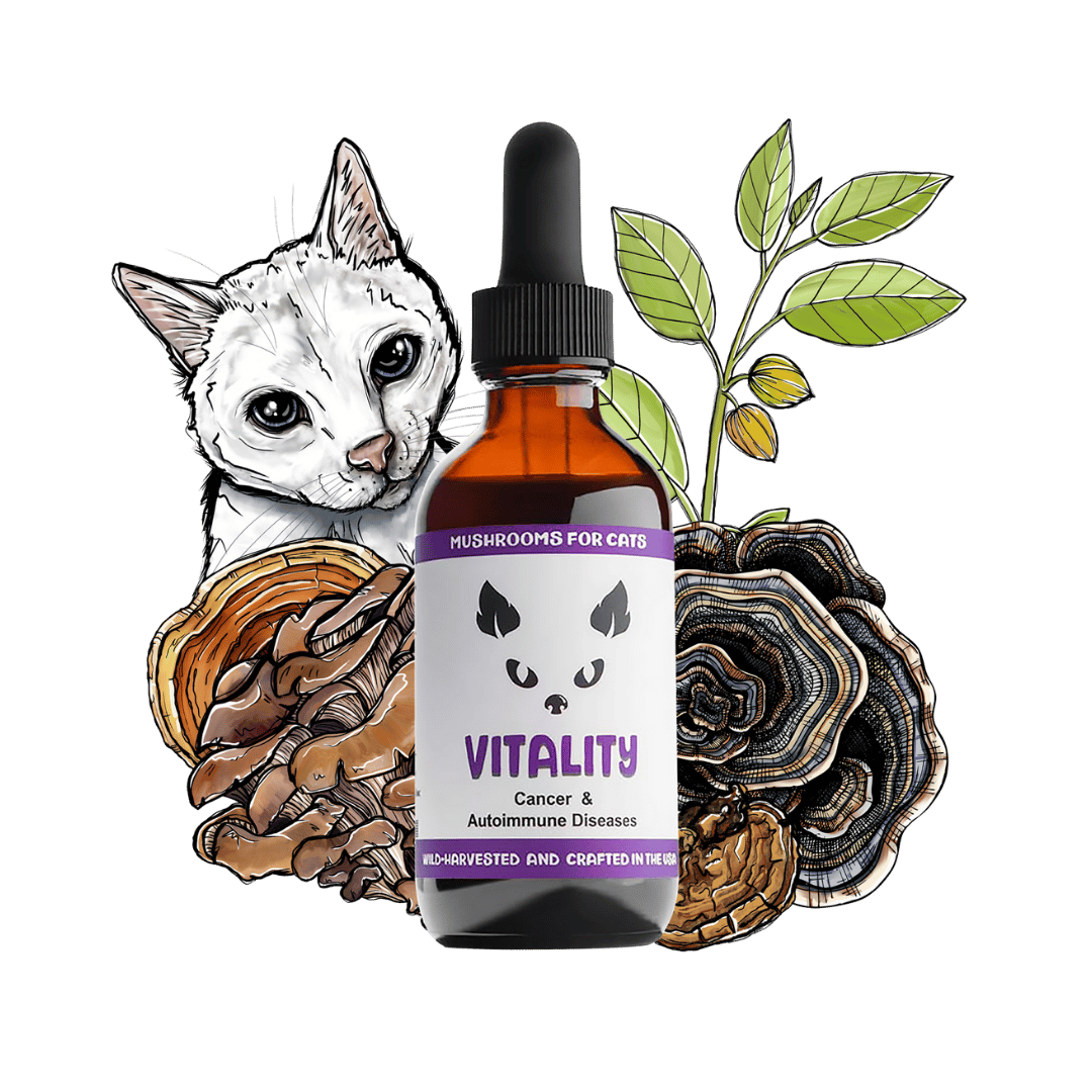 Vitality cat pet mushroom tincture by MycoCat for immune system enhancement, including ingredients like Reishi and Turkey Tail.