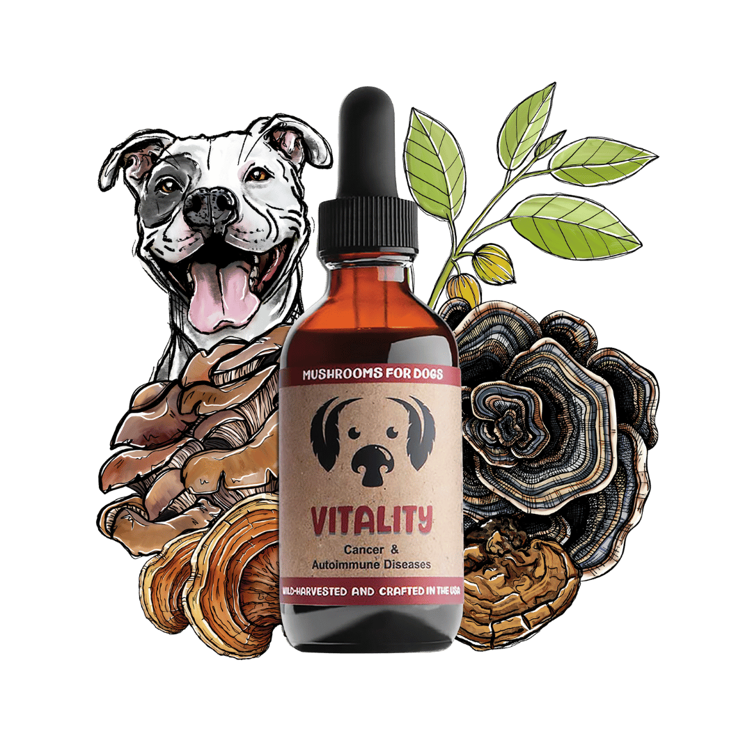 Vitality dog pet mushroom tincture by MycoDog for immune system support, featuring a synergistic blend of Reishi, Turkey Tail, and other health-promoting mushrooms.